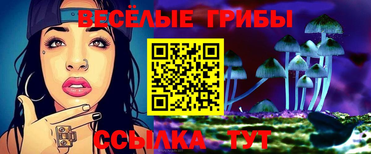 Псилоцибиновые грибы прущие грибы Сыктывкар