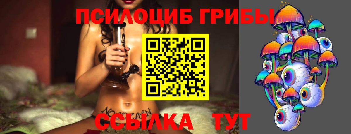 Псилоцибиновые грибы мухоморы  Псилоцибиновые грибы Psilocybine cubensis  Сыктывкар  Вход с VPN 